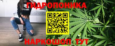 ешки Канаш